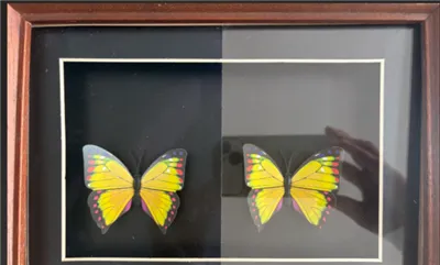 China Eliter Glass Anti - reflekterende glass